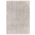 Barnaby Silver Rug