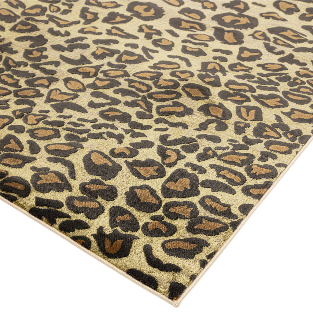Quantum QU01 Leopard