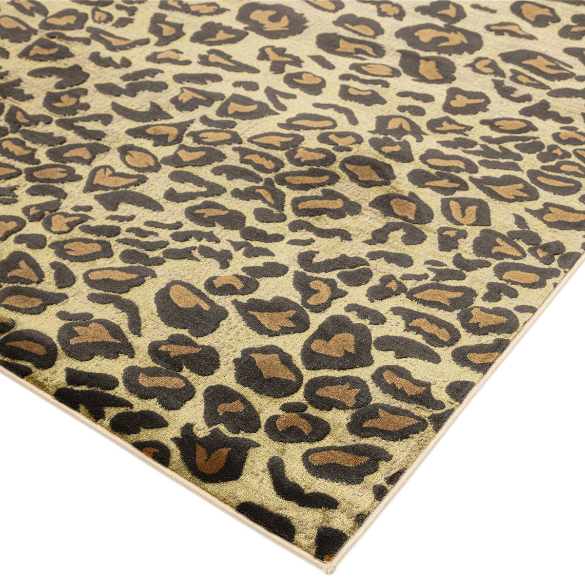 Quantum QU01 Leopard