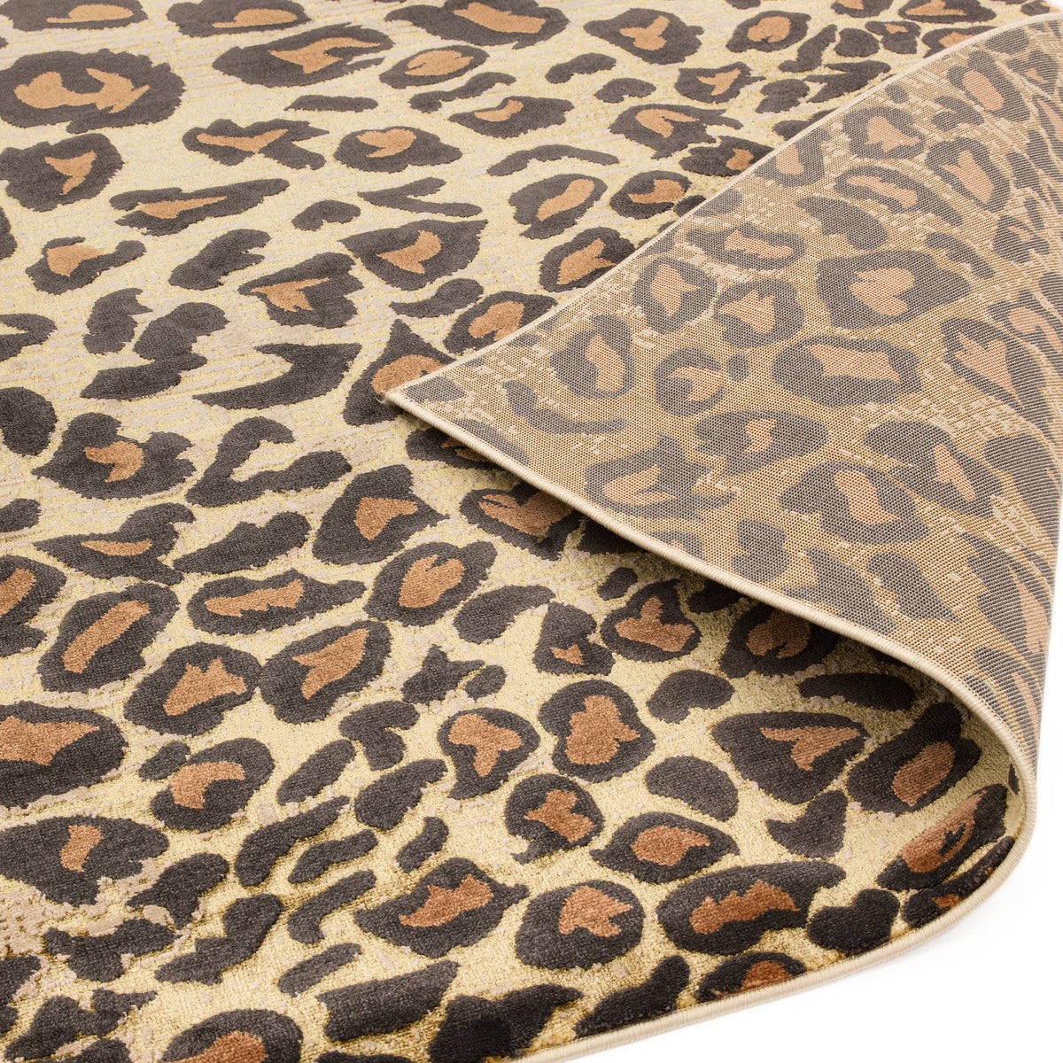 Quantum QU01 Leopard